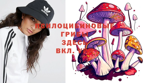 кокаин колумбия Алзамай