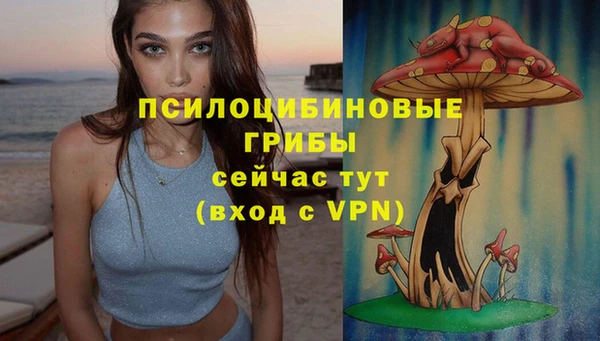 марки lsd Алексеевка