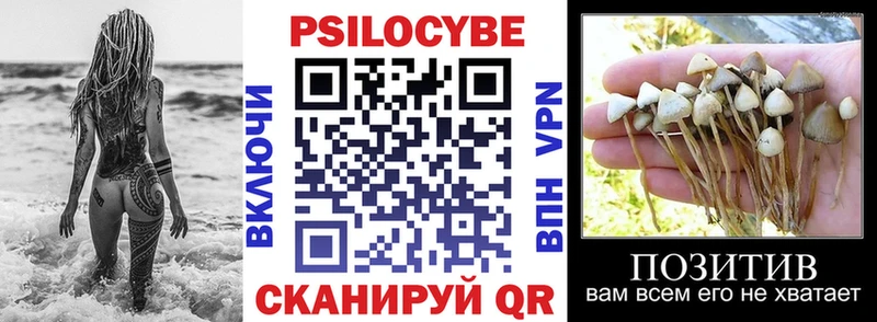 Галлюциногенные грибы мухоморы  Неман 